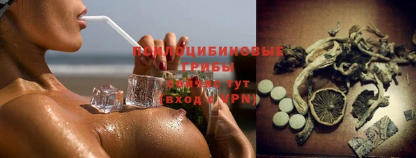 мяу мяу мука Кодинск