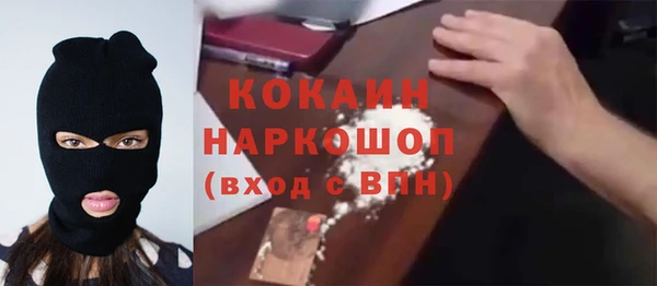 винт Коряжма